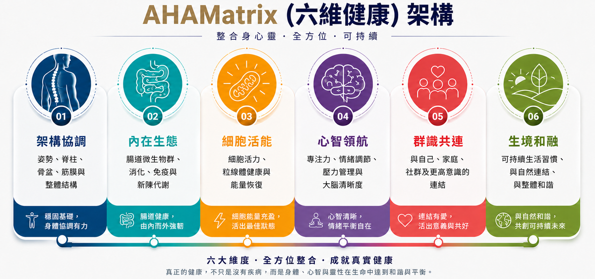AHAmatrix 六維框架