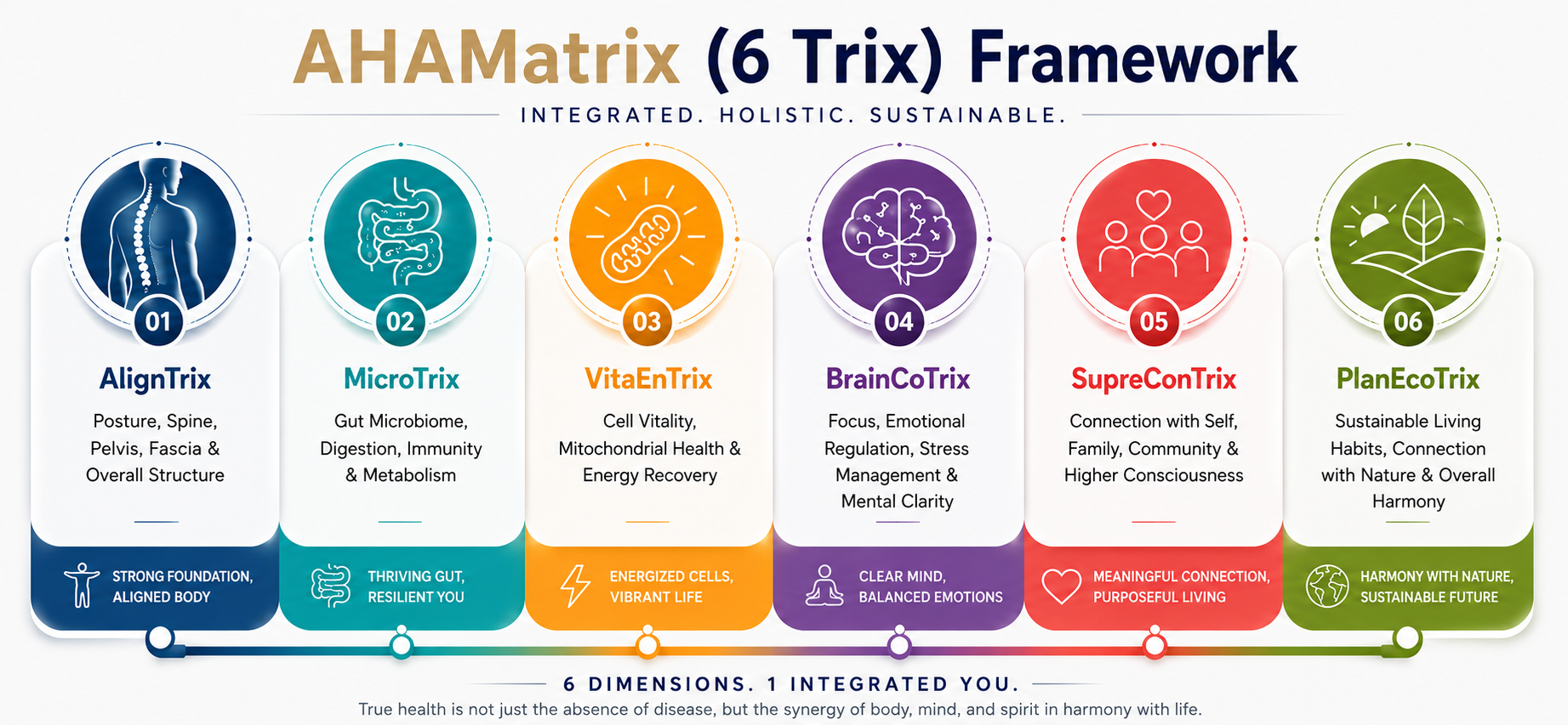 The AHAmatrix Six-Dimensional Framework