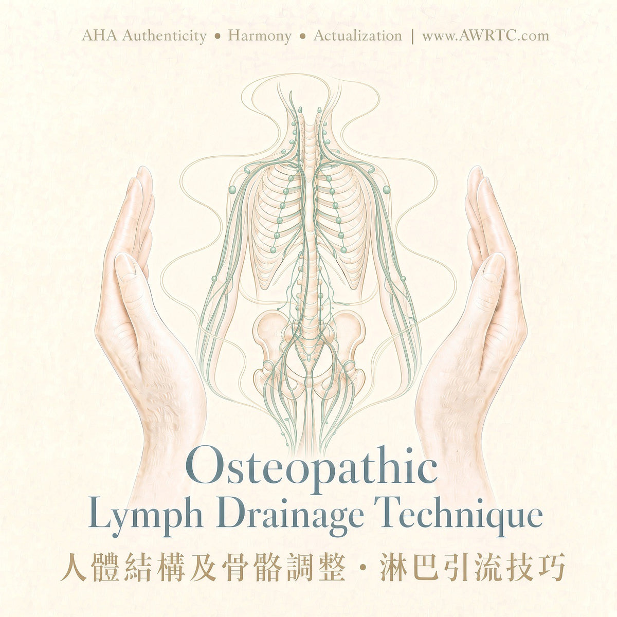 Osteopathic Lymph Drainage Technique: Basic Course. Practical hands-on learning; light-touch lymph drainage and osteopathic lymphatic pumps. AWRTC course.