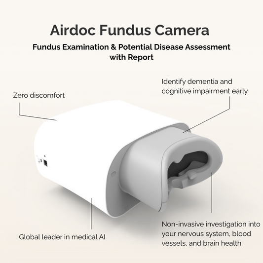Fundus Examination & Potential Disease Assessment