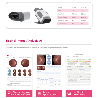 Fundus Examination & Potential Disease Assessment