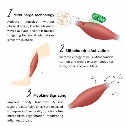 BIXEPS Muscle Magnetic Mitohomesis Therapy (1 session)
