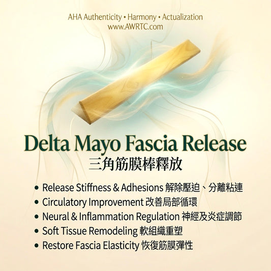 Delta Mayo Fascia Release Training Class using triangular fascia tool to release stiffness and adhesions, improve circulation, regulate neural inflammation and restore fascia elasticity. AHA AWRTC therapy experience.
