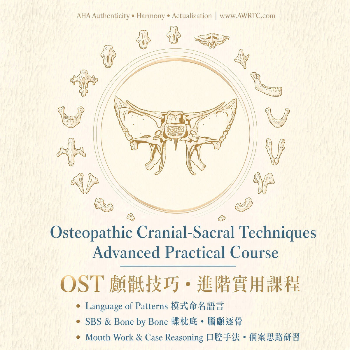Osteopathic Cranial-Sacral Technique Advanced Course: gentle bone-by-bone work for the skull, face and hard palate. AWRTC AHA with Dr. PC Lam.