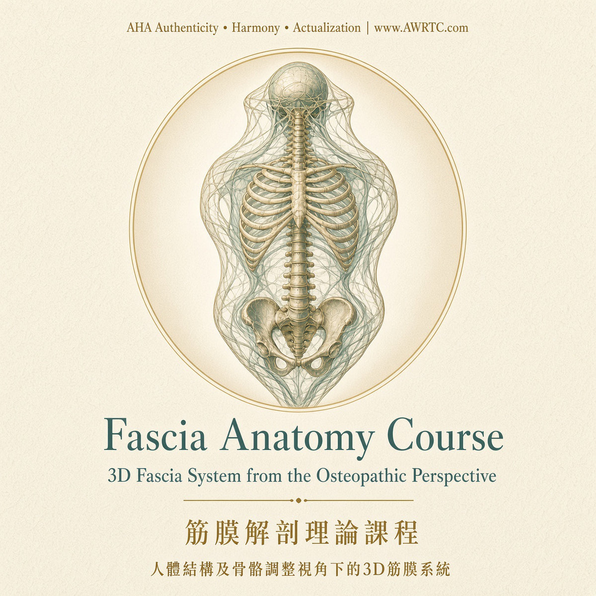 Fascia Anatomy Course: the 3D fascial system from the osteopathic perspective. Two-day anatomy course at AWRTC.