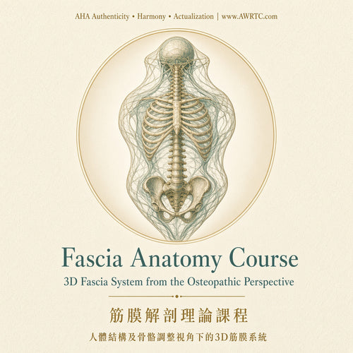 Fascia Anatomy Course: the 3D fascial system from the osteopathic perspective. Two-day anatomy course at AWRTC.
